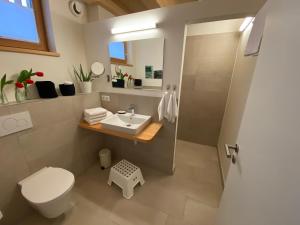ein Badezimmer mit Toilette, Waschbecken und Dusche in der Unterkunft Zachhof Niederleierndorf in Langquaid