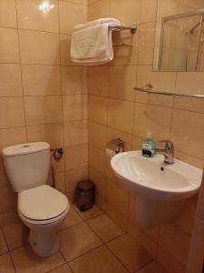 a bathroom with a toilet and a sink at Smaczny Zakątek in Ruchocice