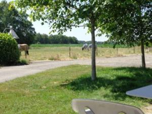 En have udenfor Child friendly apartment on a farm with garden