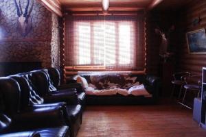 ein Wohnzimmer mit einem Sofa und einem Fenster in der Unterkunft Сруб Вилково in Wylkowe