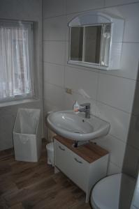 a bathroom with a sink and a toilet and a mirror at Pension Muldental Großbothen in Grimma