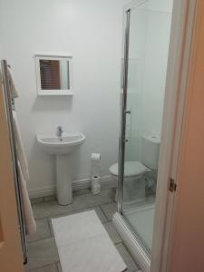 a bathroom with a toilet and a sink at The Antelope Hotel in Merthyr Tydfil