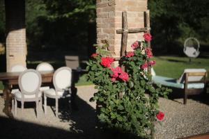 Zahrada ubytování Mulino in Chianti