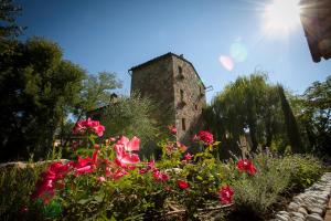 Zahrada ubytování Mulino in Chianti