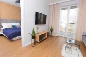TV a/nebo společenská místnost v ubytování Maloves Apartment NETFLIX