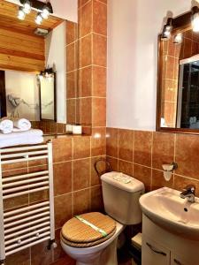 een badkamer met een toilet en een wastafel bij Apfelhaus in Cisnadioara