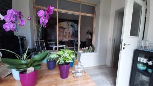a room with three potted plants on a wooden floor at 't Zandmanneke in Ostend