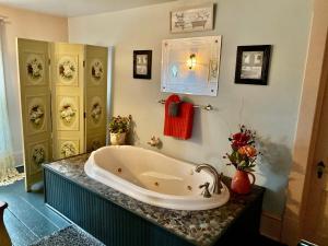 a bath tub sitting on a counter in a bathroom at The Bella Ella Bed and Breakfast in Canandaigua