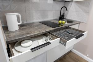 una piccola cucina con lavandino e bancone di Apartment Comfort plus IQ a Gatchina