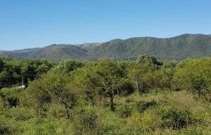 a field with trees and mountains in the background at Los Arbolitos Cabañas y Aparts in Santa Rosa de Calamuchita