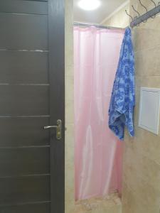 y baño con ducha y cortina de ducha rosa. en Apartament in chirie Moldova or.Soroca, en Soroca