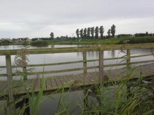 Vista de un río que corre cerca de la casa de vacaciones