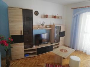 Televízia a/alebo spoločenská miestnosť v ubytovaní Apartment (4776-2) in Vir