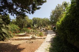 a garden with trees and a dirt road at Holiday Home (139-2) in Vis +37 photos
