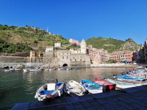 a group of boats are docked in a harbor at SeaBreeze Vernazza in Vernazza
