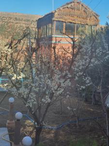 Gallery image of Riad Aslda in Asni +71 photos
