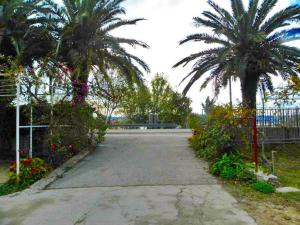 Ein Garten an der Unterkunft Apartment in Duce with air conditioning, Wi-Fi, washing machine (4166-1)