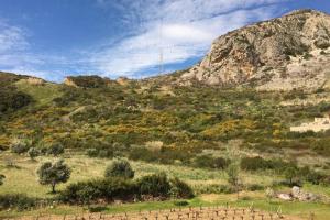 Gallery image of Rodanthy I in Katelios +16 photos