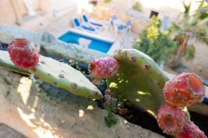 Foto da galeria de Prickly Pear Holiday Home No.1 em San Lawrenz