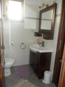 a bathroom with a sink and a toilet and a mirror at Room in Palit with balcony, Wi-Fi (4603-3) in Mundanije