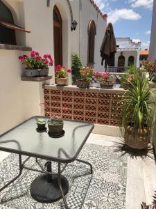 サン・ルイス・ポトシにあるHOTEL CASA CONSTANZAのガラステーブルと鉢植えの植物が備わるパティオ