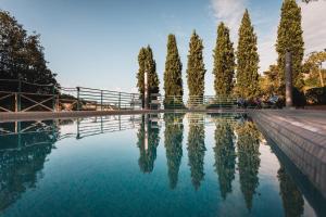 une rangée d'arbres à côté d'une piscine d'eau dans l'établissement Italian Experience-Villa Millefiori, à Porto San Giorgio