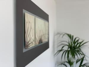 a mirror on a wall next to a plant at Cofradia Penthouse in Alcudia