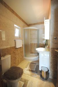 een badkamer met een douche, een toilet en een wastafel bij Villa Ana in Gornja Trepča