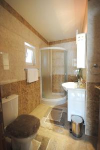 a bathroom with a shower and a toilet and a sink at Villa Ana in Gornja Trepča