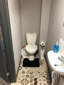 a bathroom with a toilet and a sink at London Gate Lodge - Private En-suite rooms, Kings Lynn, central location in King's Lynn