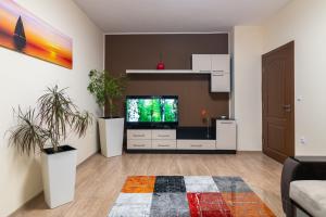 瓦爾納的住宿－BGApartments - Momina Salza，一间带电视和一些植物的客厅