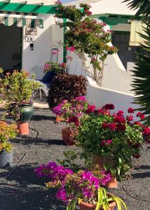 Ogród w obiekcie Casa Maiakai