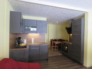 Kuchyň nebo kuchyňský kout v ubytování Alpenhaus Denver