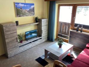 TV a/nebo společenská místnost v ubytování Alpenhaus Denver