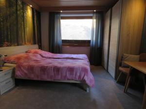 Postel nebo postele na pokoji v ubytování Alpenhaus Denver