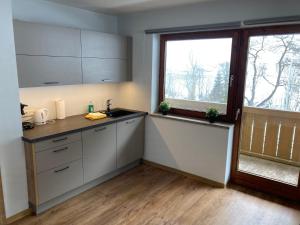 Kuchyň nebo kuchyňský kout v ubytování Alpenhaus Denver