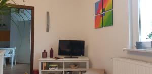 TV a/nebo společenská místnost v ubytování Gartenblick Delitzsch