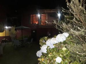 Una casa por la noche con un montón de flores blancas en Hotel Chalets Los Volcanes en Alajuela