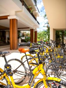 a row of bikes parked next to each other at Naala Tulum in Tulum