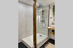 a bathroom with a shower and a sink at Charmant T3 cœur de ville avec parking in Limoges +33 photos