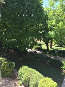 einen Garten mit Büschen, Bäumen und einem Teich in der Unterkunft Bastide Barbeiranne in Pignans