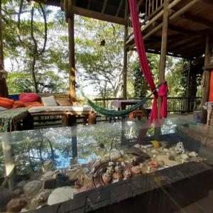 a glass aquarium with rocks and a hammock in a room at Remo Hostel in Parati-Mirim