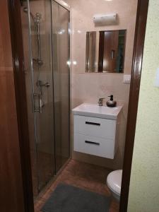 a bathroom with a shower and a sink and a toilet at POKOJE GOŚCINNE BRYZA in Mielno