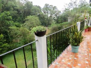 einen Balkon mit Topfpflanzen auf einem Zaun in der Unterkunft Casa Verde Xilitla By Rotamundos in Xilitla