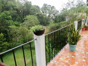 un balcón con macetas en una valla en Casa Verde Xilitla By Rotamundos, en Xilitla