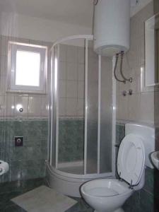 a bathroom with a toilet and a shower and a sink at Apartment Okrug Gornji 28 in Trogir