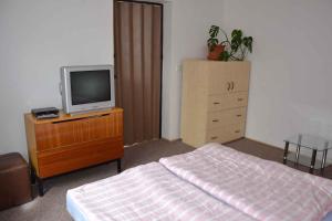 ヤブロネツ・ナト・イゼロウにあるApartment in Jablonec nad Jizerou 2142のベッドとドレッサーの上にテレビがある寝室