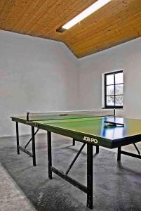 チェルナー・フ・ポシュマヴィーにあるHoliday home in Cerna v Posumavi 1908の空き部屋の卓球台(防止付)