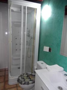 uma casa de banho com um chuveiro, um WC e um lavatório. em StarHome em San Miguel de Meruelo