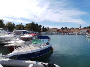 Fotografie z fotogalerie ubytování Apartment Valbandon, Istria 6 v destinaci Valbandon